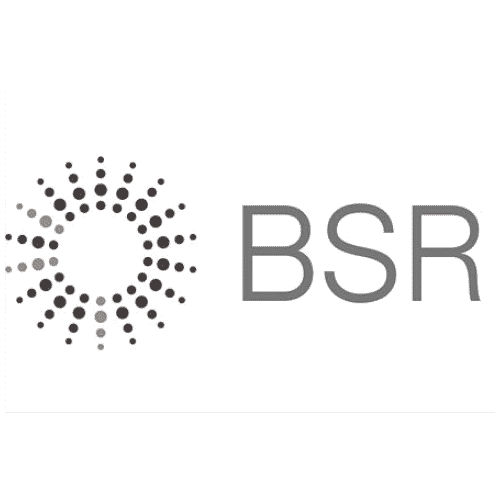BSR Part-time eXecutives